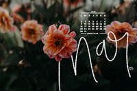 fondos de pantalla con calendario gratis @miss_plan_